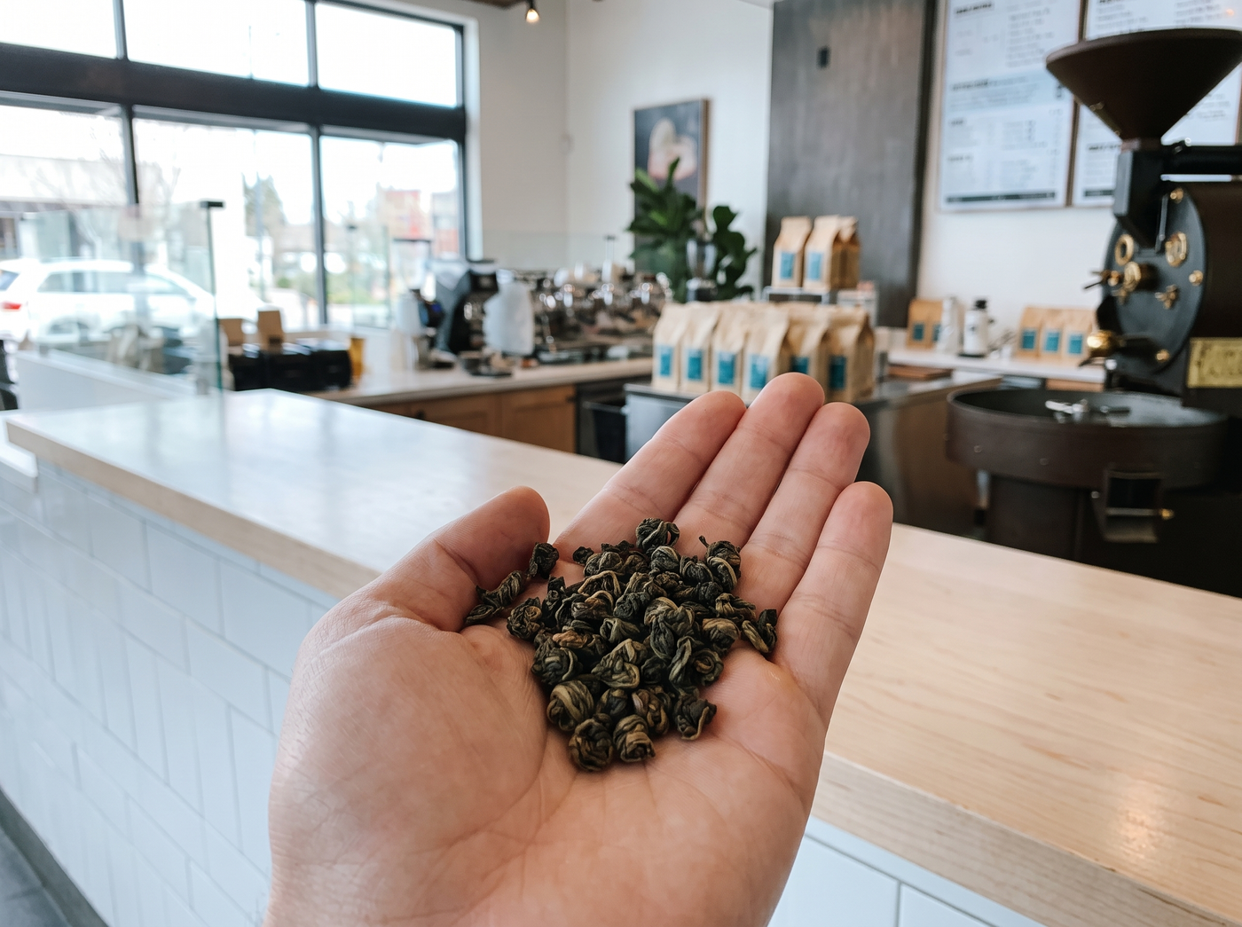 Dry rolled oolong leaves in an open palm